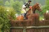 jumping horse 3c